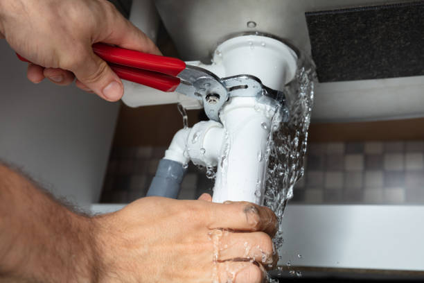 Best Water damage cleanup near me  in Unt Vernon, MO