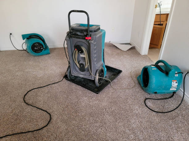 Best Flood restoration services  in Unt Vernon, MO