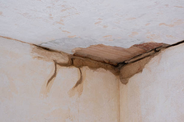 Best Flood damage cleanup  in Unt Vernon, MO