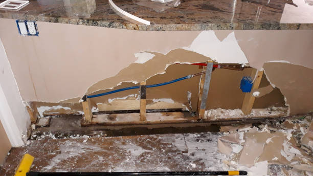Best Carpet water damage restoration  in Unt Vernon, MO