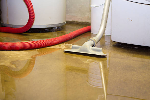 Best Water damage contractors near me  in Unt Vernon, MO