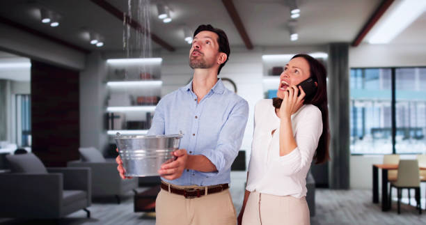 Best Professional water damage repair  in Unt Vernon, MO